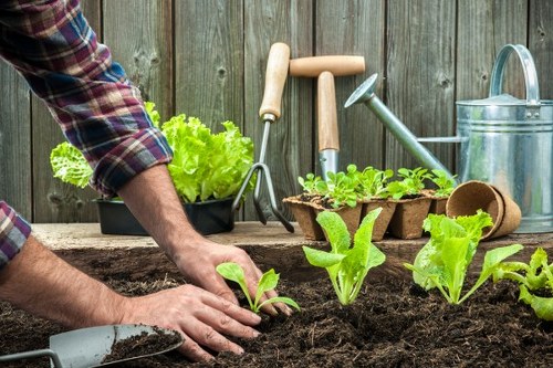 Community gardening volunteers next to compost bays and recycling stations