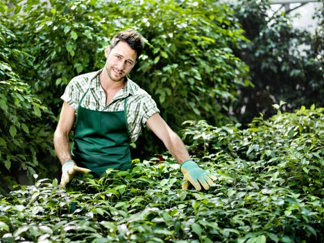 Enhanced curb appeal with professional landscaping services in Wallington