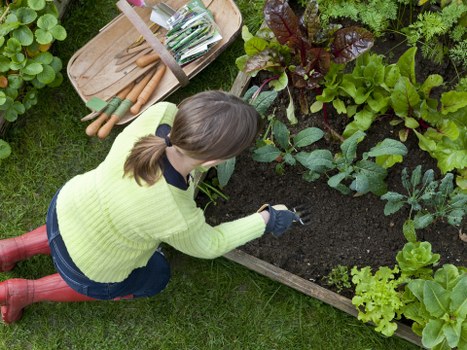 Gardener demonstrating planting with inclusive participation in Wallington