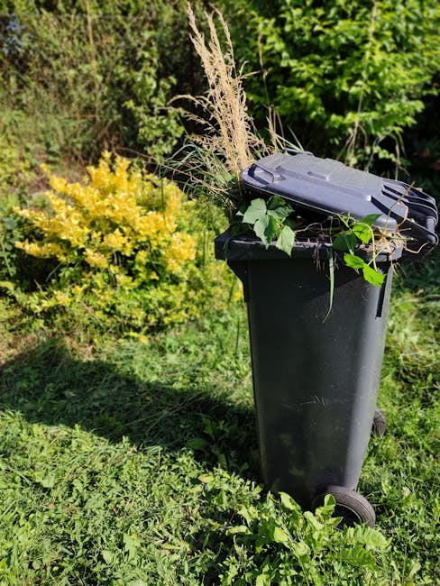 A black wheeled garden waste bin positioned on a grassy lawn, filled with various garden debris including tall dried grass stalks, green leafy branches, and other organic material. In the background, 